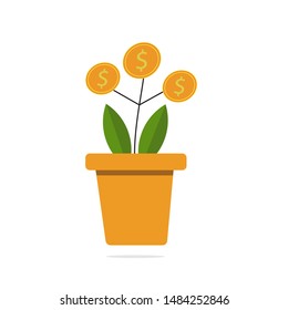 Return on investment concept with home plant in flower pot. 