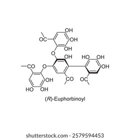 (R)-Euphorbinoyl skeletal structure.Tannin compound schematic illustration. Simple diagram, chemical structure.