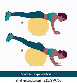Reverse Hyperextension exercise, Woman workout fitness, aerobic and exercises.

