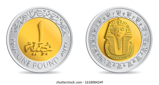 Reverse and obverse of egyptian one pound coin in vector illustration. Translation: 