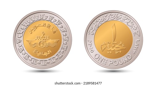 Reverso y reverso de la moneda egipcia de una libra en ilustración vectorial.