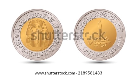 Reverse and obverse of Egyptian one pound coin in vector illustration.
