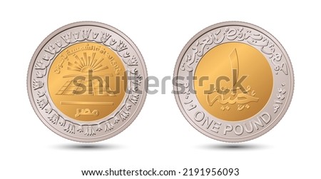 Reverse and obverse of Egyptian one pound coin in vector illustration.
