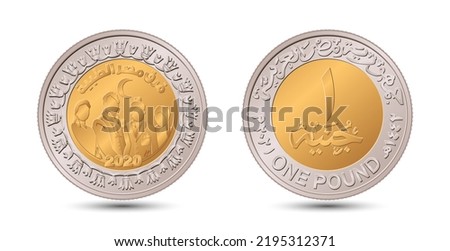 Reverse and obverse of Egyptian one pound coin in vector illustration.