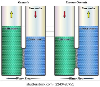 Reverse Osmosis is a technology that is used to remove a large majority of contaminants from water by pushing the water under pressure through a semi-permeable membrane.