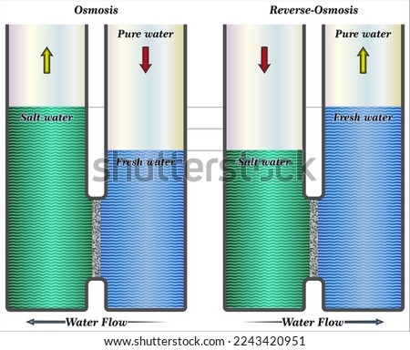 Reverse Osmosis is a technology that is used to remove a large majority of contaminants from water by pushing the water under pressure through a semi-permeable membrane.
