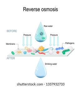 Reverse Osmosis Use The Membrane To Act Like An Extremely Fine Filter To Create Drinking Water From Contaminated Water. Pressure Forcing Water Molecules Through The Membrane