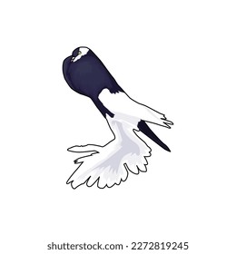 The reversewing cropper pigeon stands proudly for the logo