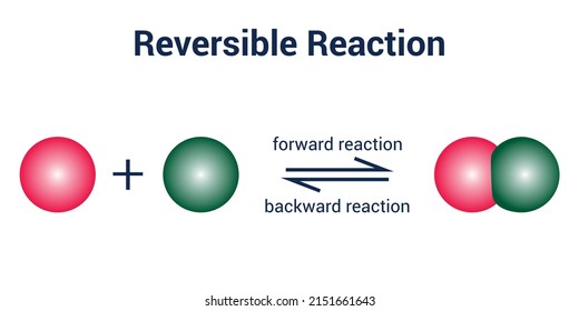 Reacción reversible y equilibrio dinámico. ilustración vectorial de reacción química sobre fondo blanco