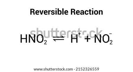 reversible reaction example in chemistry