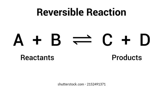 Reversible Reaction Formula Chemistry Stock Vector Royalty Free 2152491371 Shutterstock 2255