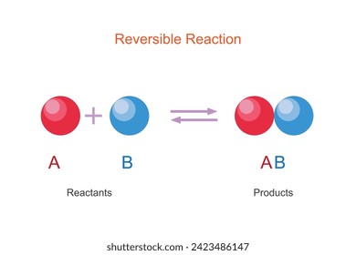 A reversible reaction is one where products can convert back to reactants. It reaches equilibrium where forward and reverse rates balance. Chemistry illustration.





