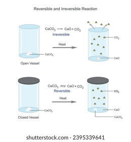 
Reversible reactions can go back and forth, reaching equilibrium. Irreversible reactions proceed in one direction, forming products without reverting.Chemical equilibrium