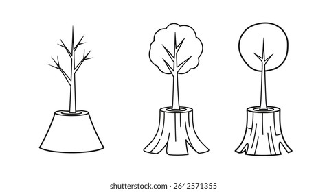 Reviving Nature Tree Growth Stages Depicting Regrowth from Deforestation and Environmental Renewal Concept