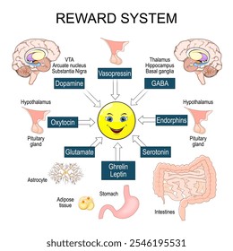 Reward system. Internal organs and Neurotransmitter. Brain reward circuitry. Positive reinforcement. Addiction neuroscience. Motivational Incentive salience. Cross section of Human brain