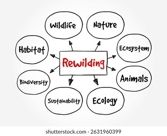 Rewilding - activities are conservation efforts aimed at restoring and protecting natural processes and wilderness areas, mind map text concept background