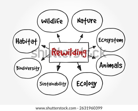 Rewilding - activities are conservation efforts aimed at restoring and protecting natural processes and wilderness areas, mind map text concept background