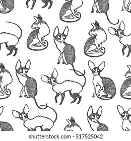 Rex cats Seamless pattern