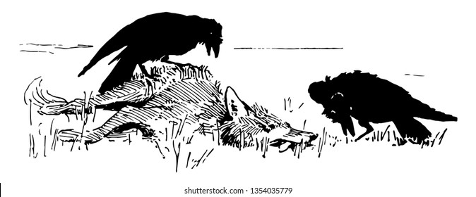 Reynard the Fox: Tricking the Crows this scene shows the fox pretending to be dead and two crows sitting near him vintage line drawing or engraving illustration