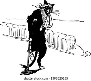 Reynard the Fox: Wounded Tibert this scene shows the injured cat walking with stick eye and front led injured vintage line drawing or engraving illustration