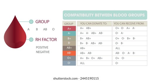 Rh and blood group and compatibility between them