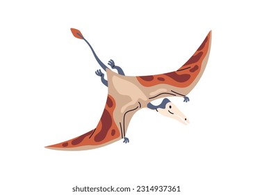 Rhamphorhynchus, flying pterosaur. Long-tailed winged dinosaur. Ancient prehistoric extinct dino of prehistory Jurassic period. Flat vector illustration isolated on white background