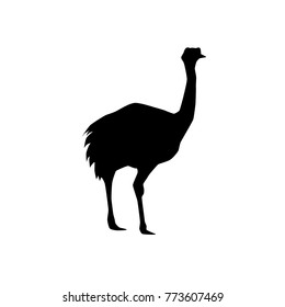 rhea americana (flightless bird similar to ostrich or emu) vector black silhouette isolated on white background