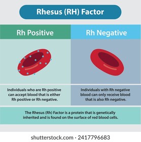 Factor Rhesus (RH) Positivo vs Vector Negativo