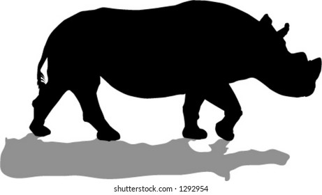 rhino