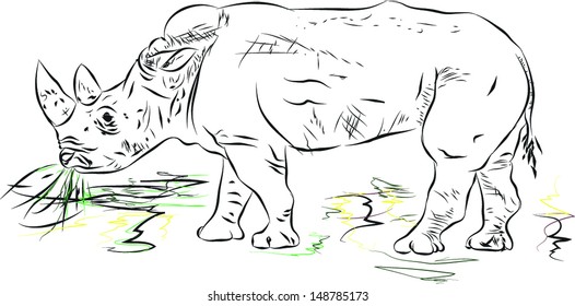 rhino