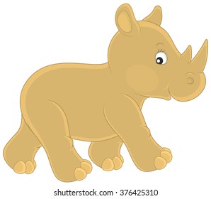 Rhino