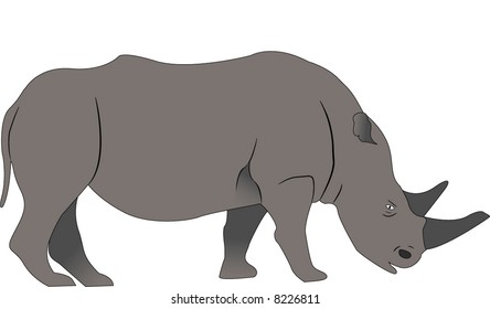 Rhino