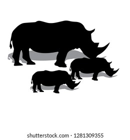 Rhino animal Silhouette