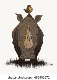 Rhino with bird
