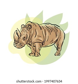 Rhino contour drawing. Wild African animal, color vector. Isolated on white.