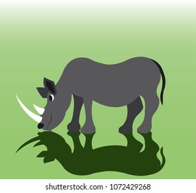 a rhino eating grass in a safari park