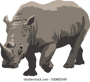 rhino eps