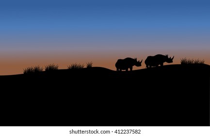 Rhino in fields scenery silhouette with blue sky