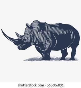 Rhino in the grass in blue color, illustration, vector