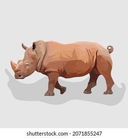 Rhino isolated realistic hand drawn vector and illustrations white background