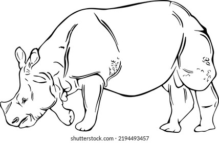 Rhino, Outline Vector Illustrations Design 