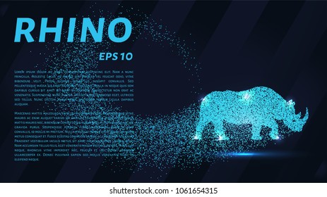 Rhino of the particles. Rhino consists of small circles.