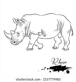 Rhino, realistic animal sketch, vector illustration