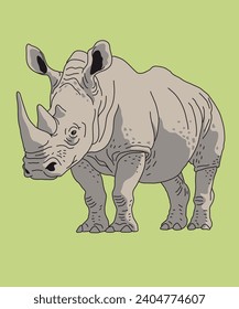 Rhino Rhinoceros Standing Front View