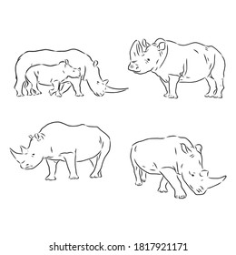 Rhino silhouette line drawings - vector set of three . Rhino vector sketch illustration