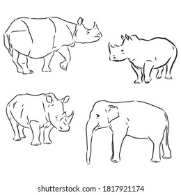 Rhino silhouette line drawings - vector set of three . Rhino vector sketch illustration