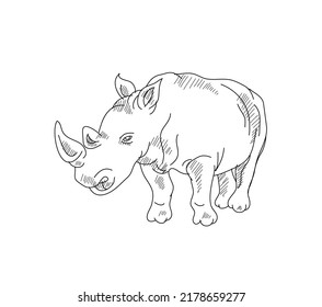 Rhino Sketch Drawing, Art Vector Design