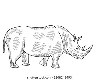 Rhino sketch drawing vector illustration
