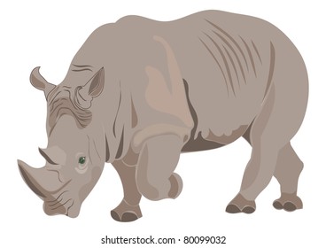 Rhino vector