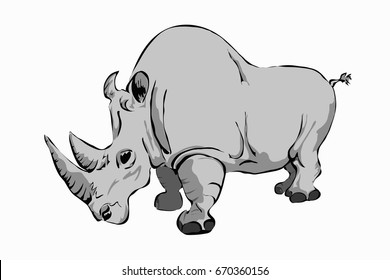 Rhino vector illustration. African animal isolated on a white background